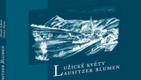 lužické květy 91128